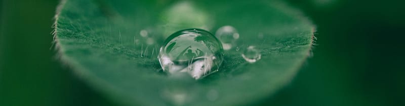 Corporate Site Website Banner_1